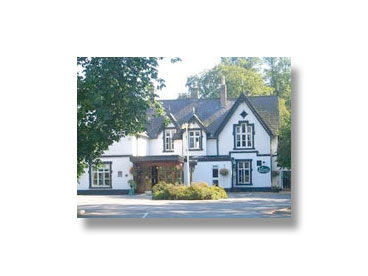 Krieghoff Places To Stay