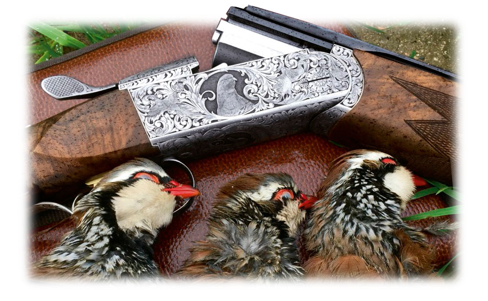 Krieghoff K-20 Parcours